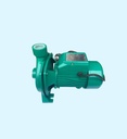 Canton CPM130 Centrifugal Pump